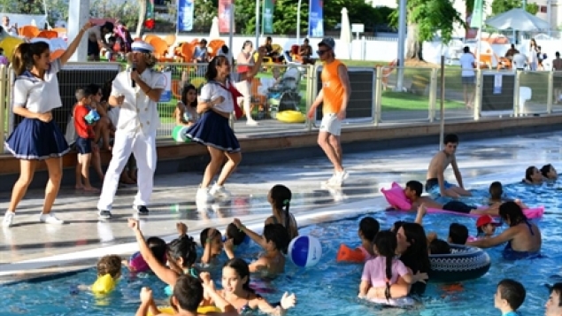 תמונת הכתבה