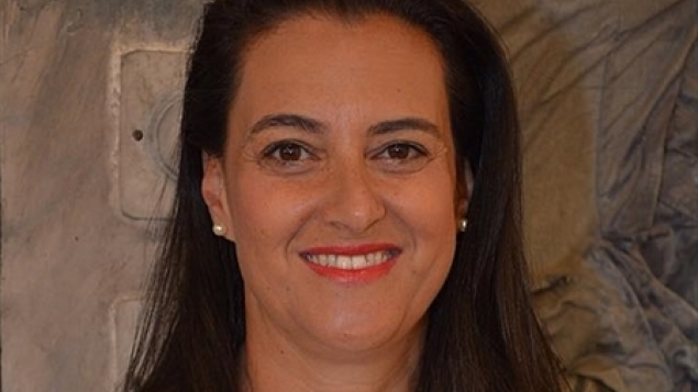 תמונת הכתבה