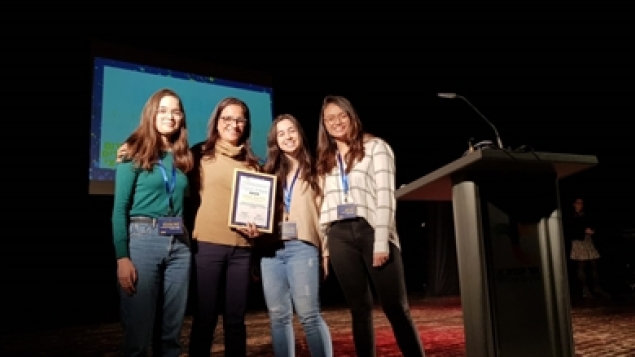 תמונת הכתבה