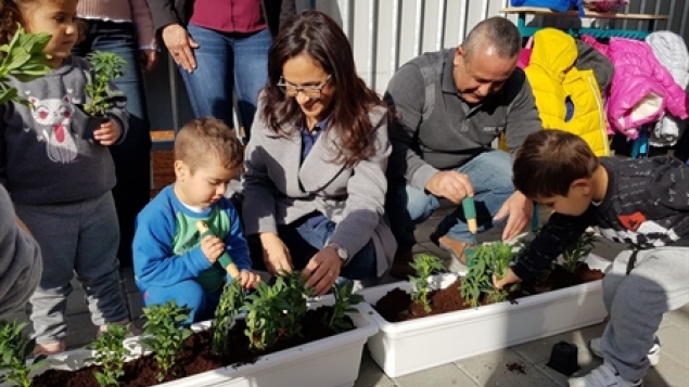 תמונת הכתבה