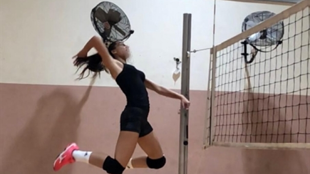 תמונת הכתבה