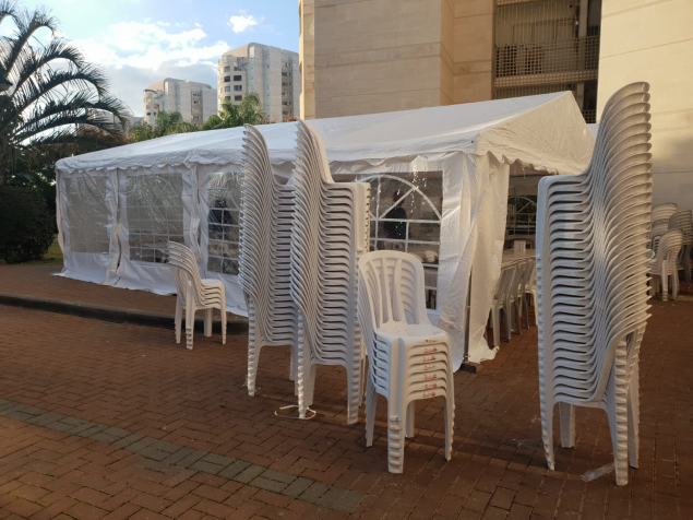 תמונת הכתבה