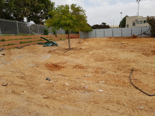 תמונת הכתבה