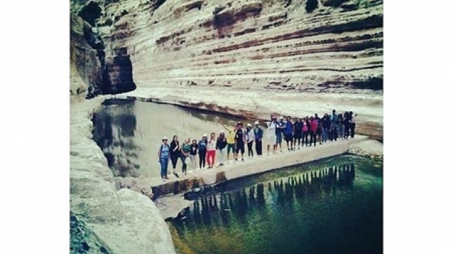 תמונת הכתבה