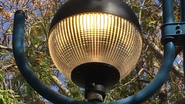 תמונת הכתבה