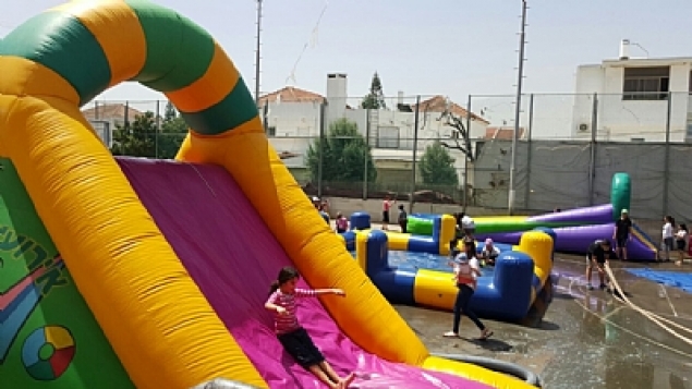 תמונת הכתבה