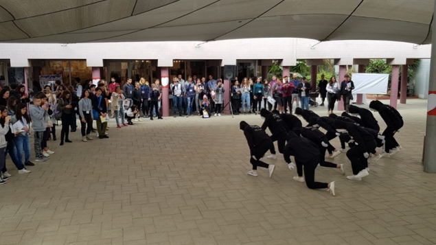 תמונת הכתבה