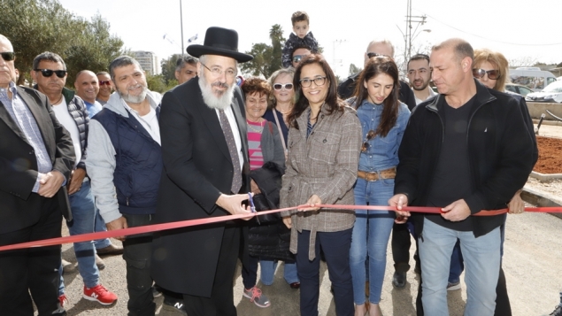 תמונת הכתבה