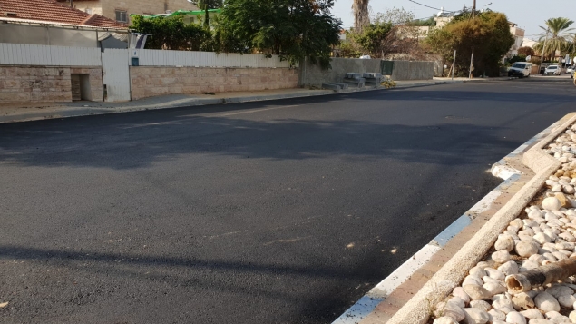 תמונת הכתבה