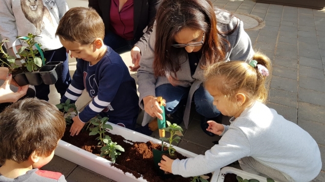 תמונת הכתבה