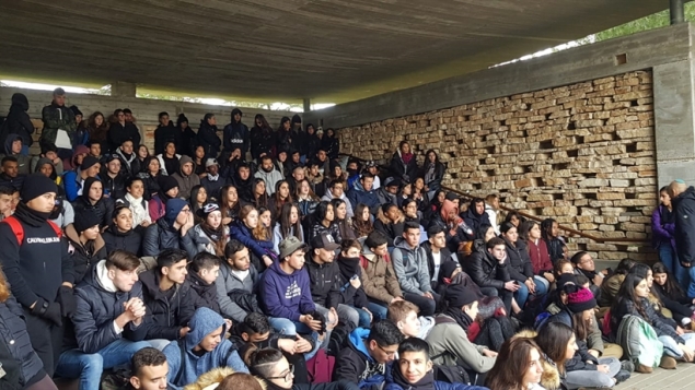 תמונת הכתבה