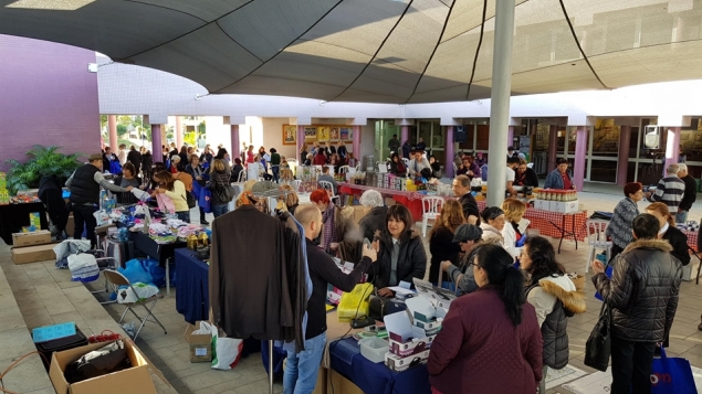 תמונת הכתבה