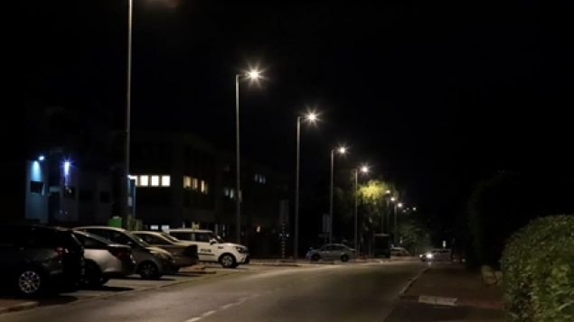 תמונת הכתבה