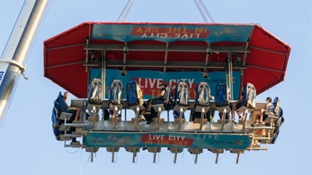 תמונת הכתבה