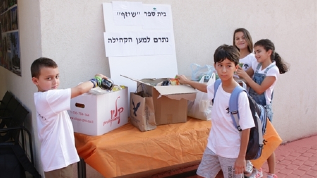 תמונת הכתבה