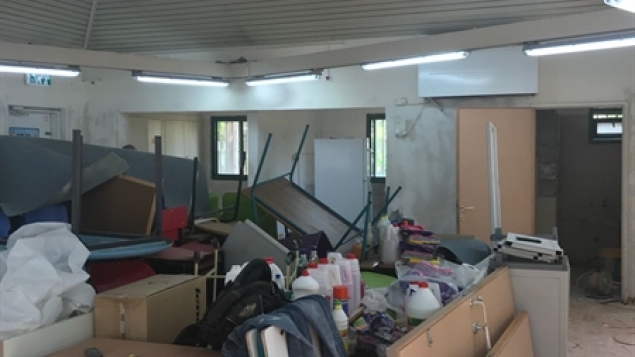 תמונת הכתבה