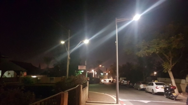 תמונת הכתבה