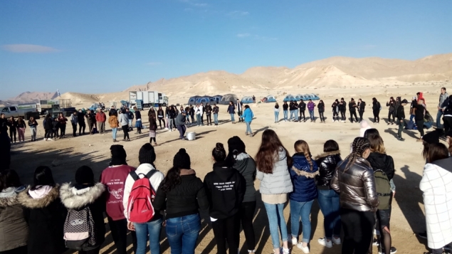 תמונת הכתבה