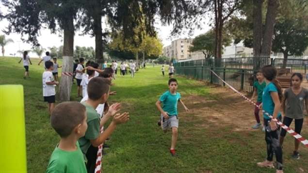 תמונת הכתבה