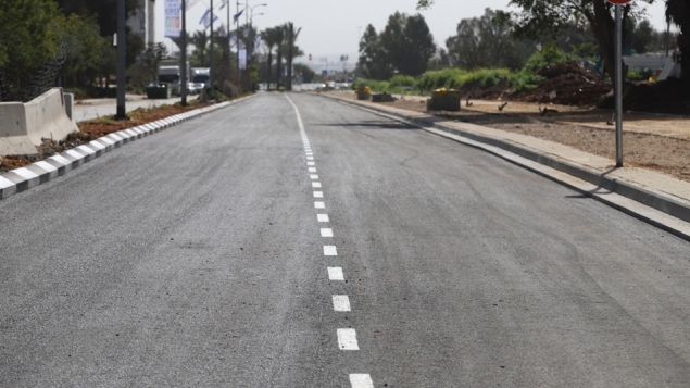 תמונת הכתבה