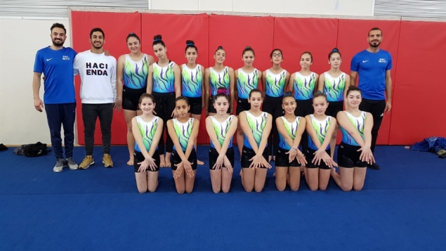 תמונת הכתבה