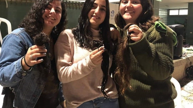 תמונת הכתבה