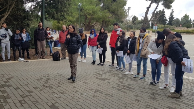 תמונת הכתבה