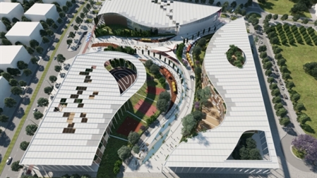 תמונת הכתבה