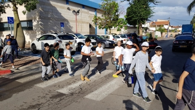 תמונת הכתבה