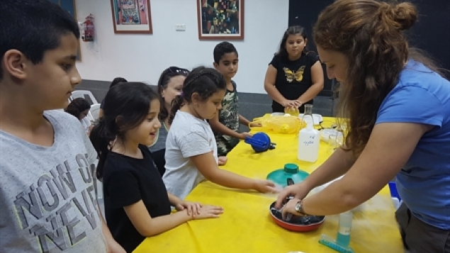 תמונת הכתבה