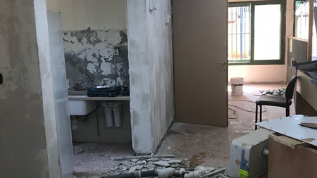 תמונת הכתבה