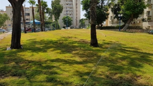 תמונת הכתבה